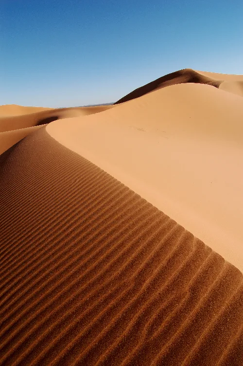 Capa de Duna
